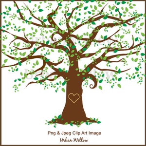 Family Tree Clipart, Clipart Beautiful Tree, Clipart Elm Tree, Maple ...