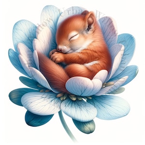 10 cliparts mignons animaux endormis. Images JPEG de haute qualité. Utilisation commerciale. Créez des impressions, des travaux manuels, des journaux indésirables, de l'art mural pour chambre d'enfant, des tasses.