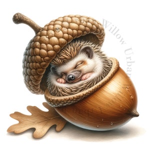 10 uroczych zwierząt śpiących clipart. Żołądź i zwierzęta. Obrazy JPEG o wysokiej rozdzielczości. Wykorzystanie komercyjne. Wydruki, rękodzieło, sztuka ścienna do pokoju dziecięcego, kubki.