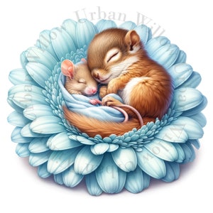 8 cliparts mignons d'écureuil et de souris, dormant dans des fleurs. Images JPEG haute définition. Art pour chambre d'enfant, créations en papier, carnet de bordel, impressions murales.