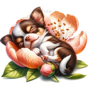 11 cliparts chihuahua mignon, dormant dans des fleurs. Images JPEG haute définition. Art pour chambre d'enfant, créations en papier, carnet de bordel, impressions murales, découpage.