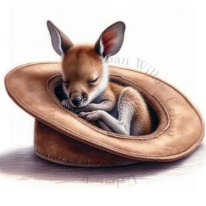 9 Kangaroo Joeys - Jackaroo-stijl. Schattige slapende Australische kangoeroes. High-definition JPEG-afbeeldingen. Afbeeldingen voor elk project.