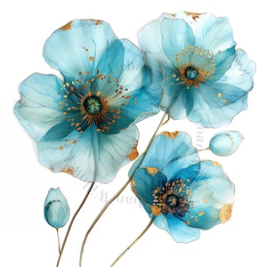 10 papoulas douradas e azul-petróleo, clipart em aquarela, flores prensadas, JPGs de qualidade, download digital, diários indesejados, artesanato em papel, convites