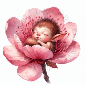 11 bezaubernd schlafende Elfenfellchen. Clip Art. Fantasie-Bilder. Kommerzielle Nutzung. Hohe Auflösung. Drucke, Kunsthandwerk, Zeitschriften, Kinderzimmerkunst.