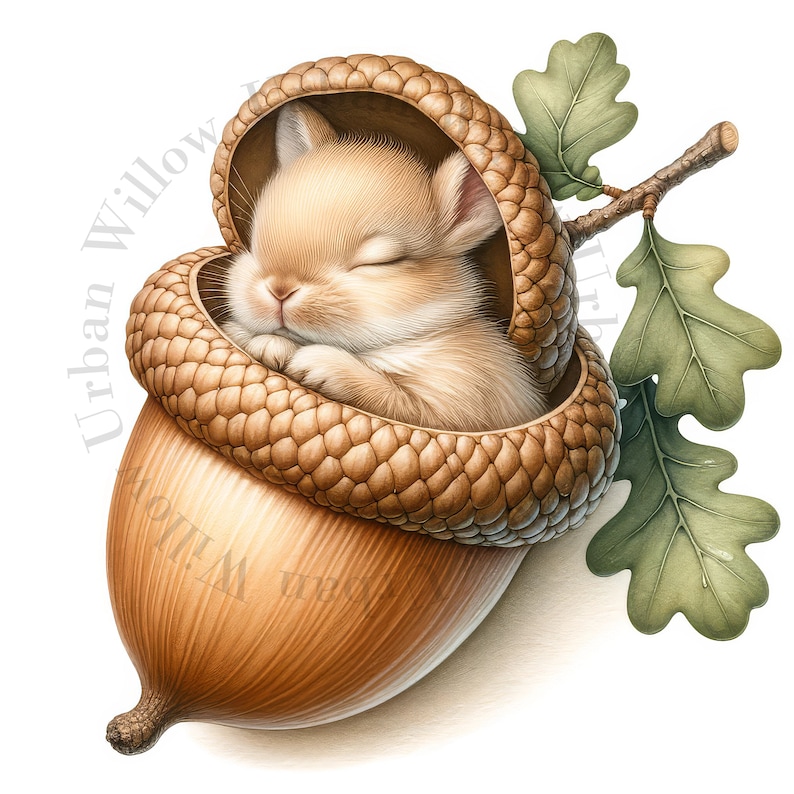 Acorn Rabbit 10 Cute Animals Sleeping Clipart. Acorn and Animals. High Definition ...