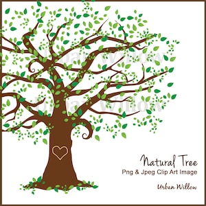May include: A brown tree with green leaves and a heart-shaped hole in the trunk. The tree is on a white background. The text "Natural Tree" and "Png & Jpeg Clip Art Image" is below the tree. The text "Urban Willow" is below the other text.