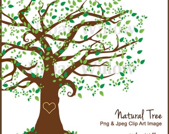 Beautiful Tree Clipart Design, Family Tree, Clipart Tall Tree, Graphics Oak Tree, Forest Clipart, Digital Scrapbook Family Tree, Green Tree
