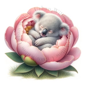 Clipart koala australien, fichiers JPG haute définition, téléchargement numérique, art de la chambre d'enfant, sacs fourre-tout, produits imprimés. Petite utilisation commerciale.