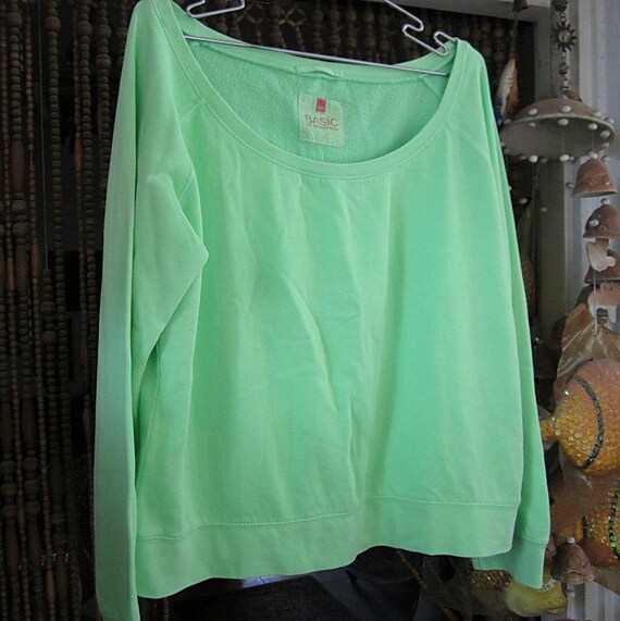 Apple Green Warming Sweater with Inner Flannel, Vi
