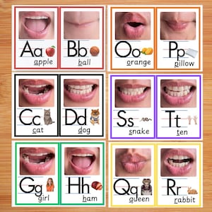 May include: Flash cards with the alphabet, each card featuring a letter, a word, and a corresponding image. The cards display the letters A through R, with words like apple, ball, cat, dog, and rabbit. The cards have a white background with black text and colorful borders.