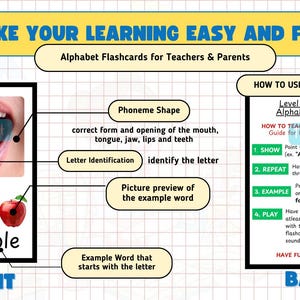 Op de afbeelding: Alfabet flashcards voor leraren en ouders. De voorkant van de kaart toont de letter "A" met een afbeelding van een appel. De achterkant van de kaart geeft instructies over hoe je lettergeluiden kunt leren.