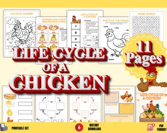 Life Cycle of a Chicken Printable Worksheets for Kids Science Activity Homeschool Farm Unit Study PDF