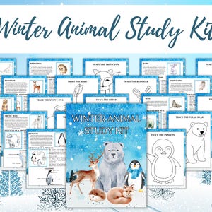 Op de afbeelding: Een Winterdieren Studiepakket met een verzameling educatieve werkbladen en een voorpagina. De omslag toont een ijsbeer, rendier, pinguïn, vos en egel. Elke pagina bevat tekst en lijntekeningen voor het overtrekken van de dieren.