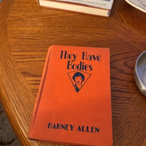K&ouml;nnte beinhalten: Ein orangefarbenes Buch mit dem Titel "They Have Bodies" von Barney Allen. Das Cover zeigt eine blau-wei&szlig;e Illustration eines Frauengesichts in einem Dreieck. Das Buch liegt auf einem Holztisch, im Hintergrund weitere B&uuml;cher und Gegenst&auml;nde.