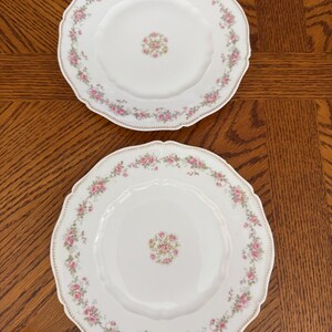 2 8” vintage Theodore Haviland Limoges France floral plates