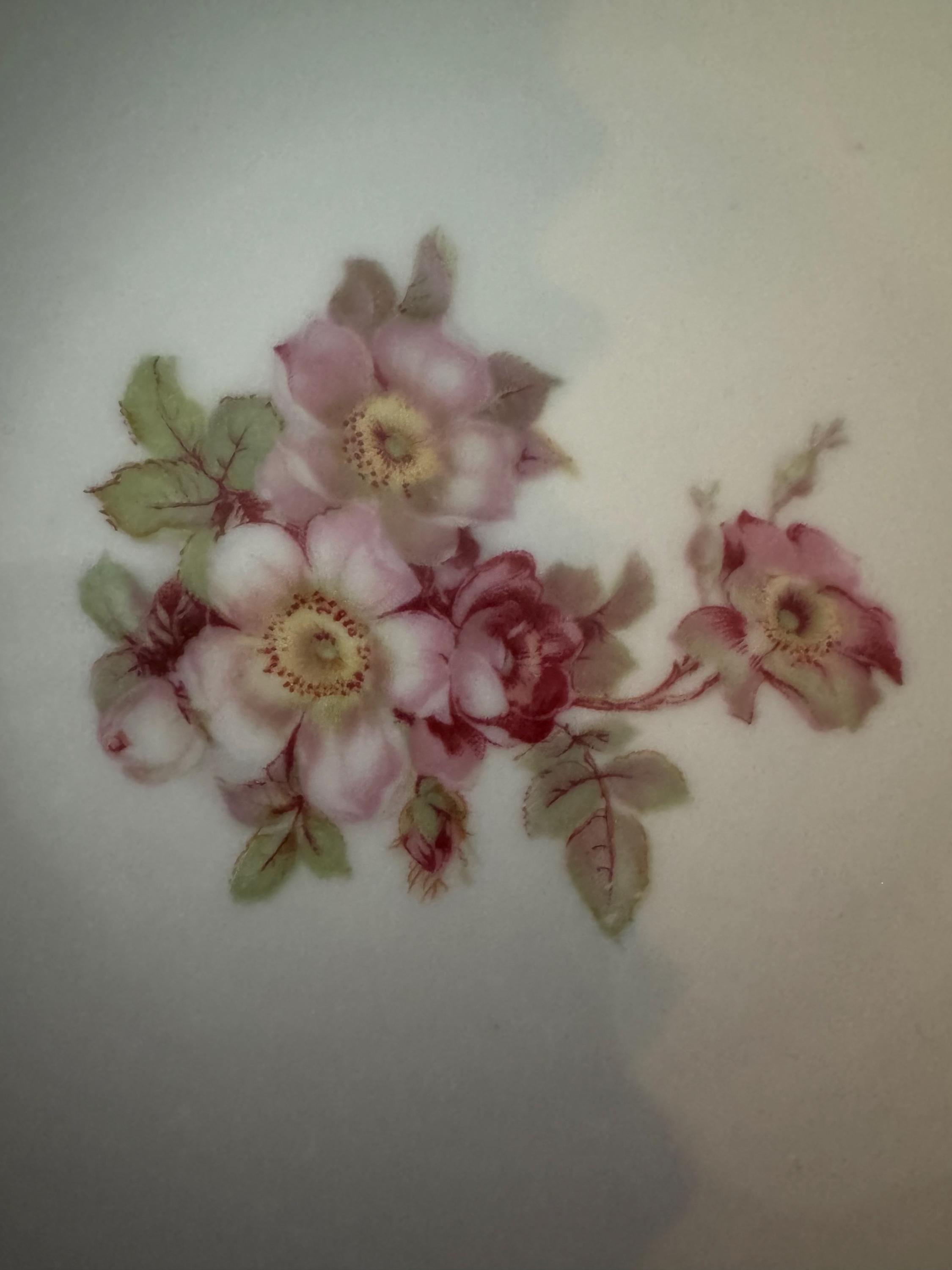 Vintage Schumann Arzberg Germany Wild Rose Bavaria Golden Crown E & R ...