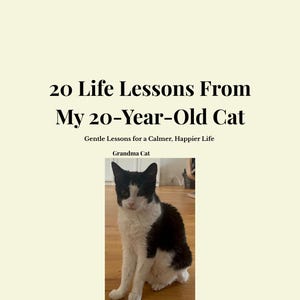 20 Life Lessons From 20-Year-Old Cat | Gentle Wisdom (Digital Book)