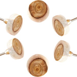 May include: Six decorative cabinet knobs. Each knob features a light-colored, rounded edge surrounding a circular, wood-grain center. The knobs have a silver threaded post for installation.
