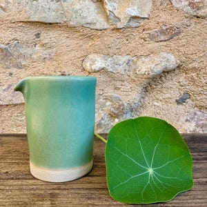 Può includere: Un piccolo brocca in ceramica verde chiaro con beccuccio, appoggiata su una superficie di legno. La brocca ha una base beige chiaro. Una grande foglia verde con venature prominenti è accanto alla brocca. Lo sfondo è un muro di pietra strutturato.