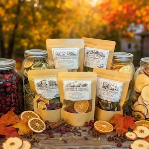 May include: A collection of glass jars filled with dried cranberries, citrus slices, and apple rings, alongside kraft paper pouches labeled Coffeehouse Chai, Baked Apple, Spiced Orange Harvest, Pumpkin Harvest, and Autumn Woods, with scattered cinnamon sticks and cloves.