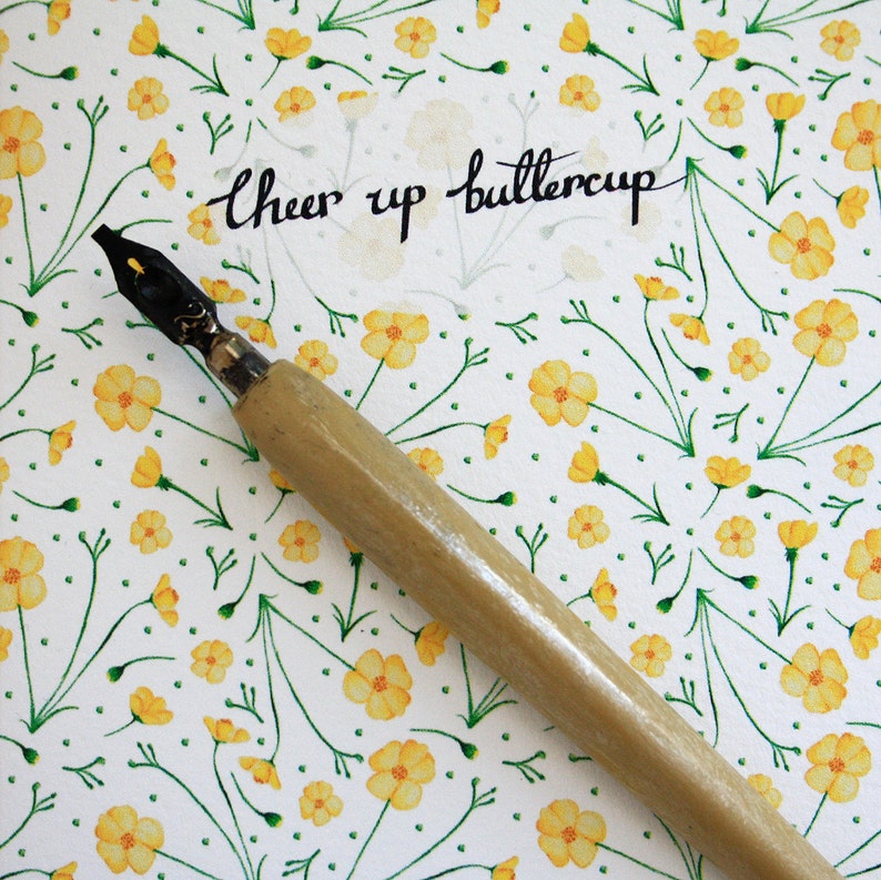 cheer up buttercup cheer up buttercup