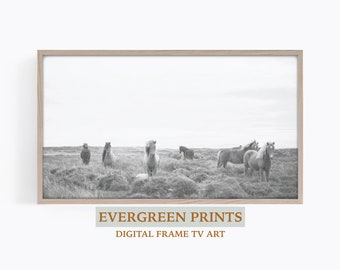 Black and White Horses Photography Samsung Frame TV Art | Digital Frame TV Art | Moody TV Art | Farmhouse Decor | Animal tv Art