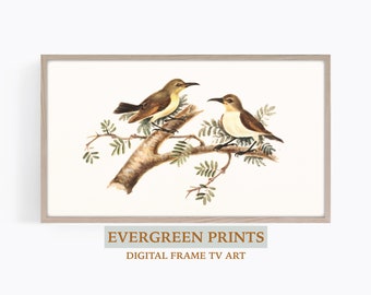Vintage Bird Painting Samsung Frame TV Art | Digital Frame TV Art | Vintage Art | Farmhouse Decor | Animal Art | Cozy Home Decor