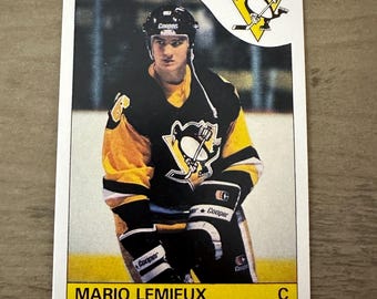 ヴィンテージ ピッツバーグ ペンギンズ NHL 刺繍ロゴ 1/4ジップ