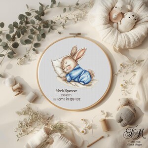 Könnte beinhalten: Ein Kreuzstich-Stickrahmen mit einem schlafenden Hasen in einem blauen Outfit, der auf einem Kissen ruht. Der Text "Mark Spencer" und weitere Details befinden sich unter dem Hasen. Der Rahmen ist von einem Holzrahmen umgeben.