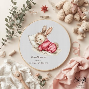 May include: A cross-stitch embroidery hoop shows a sleeping bunny in a pink outfit on a pillow. The text "Anna Spencer" and birth details are below. The hoop is surrounded by soft toys and floral decorations. The baby weighed 2 lbs 1 oz.