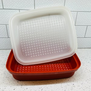 May include: A red plastic container with a clear plastic lid. Both the container and lid have a textured, raised pattern.
