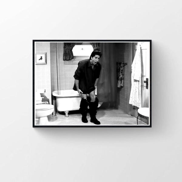 Friends Ross Geller Bathroom Poster, Friends Funny Movie Poster, Funny Bathroom Wall Art, Black and White, Toilet Print, Wall Art