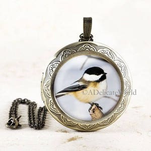 Chickadee Jewelry Locket, Keepsake Pendant, Songbird Gift for Birdwatcher, Winter Bird Necklace, Nature Photography Bronze
