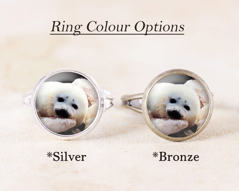 Baby Seal Ring White Seal Jewelry Marine Animal Jewelry Etsy