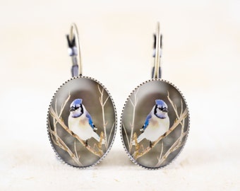 Blue Jay Earrings - Songbird Jewelry, Blue Bird Jewelry Earrings, Bird Photo Jewelry, Bronze Bird Earrings, Nature Earrings, Blue Jay Photo