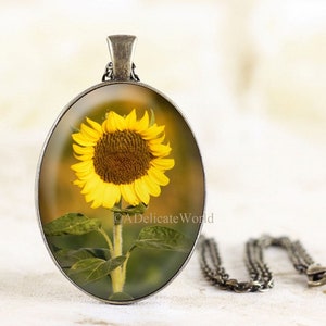 Sunflower Necklace, Flower Jewelry with Original Nature Photography under Glass, Silver or Bronze Pendant, Gift Idea image 1