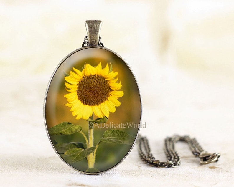 Sunflower Necklace, Flower Jewelry with Original Nature Photography under Glass, Silver or Bronze Pendant, Gift Idea image 1