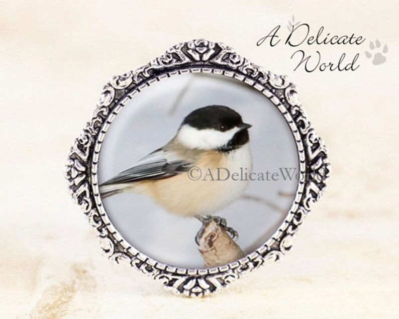 Chickadee Brooch Silver Bird Jewelry Broach, Chickadee Photography Jewelry, Chickadee Bird Brooch, Silver Chickadee Jewelry, Bird Gift image 1