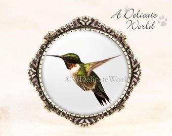 Hummingbird Brooch Pin, Nature Jewelry Broach, Unique Accessory for Scarf, Humming Bird in Flight, Wildlife Photography Gift for Gardener