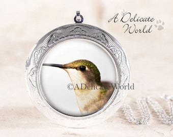 Hummingbird Jewelry Locket in Silver or Bronze, Green Humming Bird Necklace, Original Wildlife Photo, Nature Lover Gift for Mom or Grandma