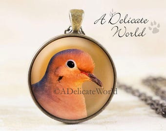 Mourning Dove Jewelry Pendant in Bronze, Nature Lover Gift for Women, Large Round Necklace with Chain, Wild Bird Photo in Glass
