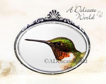 Male Hummingbird Brooch - Silver Bird Jewelry Brooch, Ruby Hummingbird Jewelry, Humming Bird Brooch, Nature Brooch, Songbird Jewelry Pin