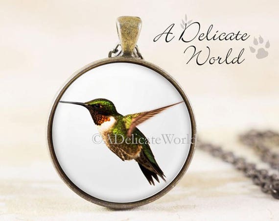 Etsy hummingbird deals necklace