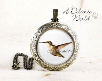 Hummingbird Locket - Nature Jewelry, Green Hummingbird Jewelry, Flying Bird Locket, Hummingbird in Flight Photo Locket, Hummingbird Gifts