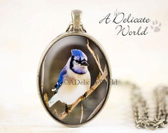 Blue Jay Necklace, Bronze Bird Jewelry Handmade, Nature Gift, Songbird Pendant Photography, Bluejay Pendent