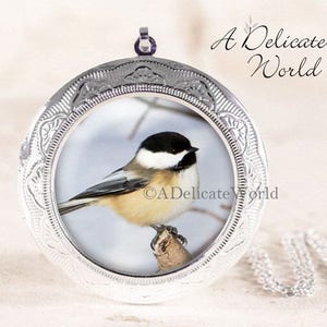 Chickadee Jewelry Locket, Keepsake Pendant, Songbird Gift for Birdwatcher, Winter Bird Necklace, Nature Photography Silver