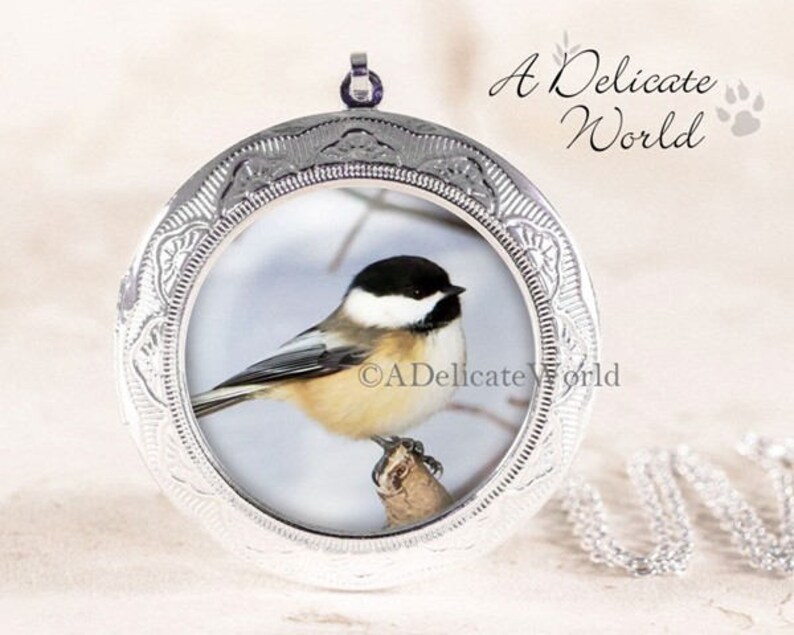 Chickadee Jewelry Locket, Keepsake Pendant, Songbird Gift for Birdwatcher, Winter Bird Necklace, Nature Photography Silver