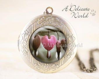 Bleeding Heart Locket Pendant, Pretty Pink Flower Necklace, Gardening Gift for Her, Romantic Wedding, Valentines Day Jewelry, Garden Present