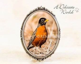 Robin Brooch, Song Bird Jewelry Broach, Woodland Songbird Pin, Nature Gift for Her