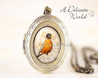 Robin Locket - Red Robin Bird Locket, American Robin Jewelry, Bronze Bird Locket, Bird Photography, Spring Bird Gift, Woodland Bird Jewelry